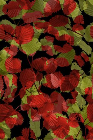 复古印花华亿平台图片