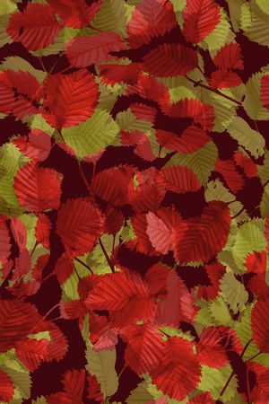 复古印花华亿平台图片