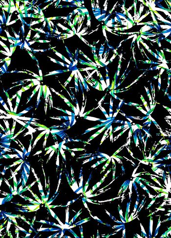 898400-黑白男装热带叶子 Color 2