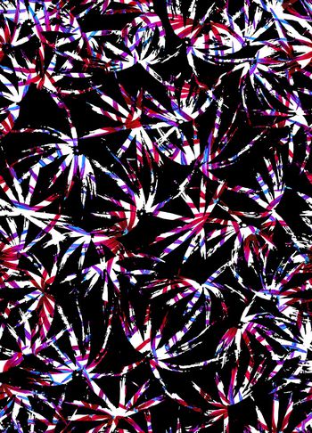 898403-黑白男装热带叶子 Color 3