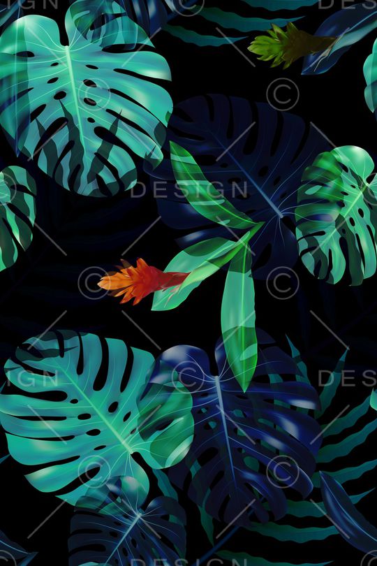 热带印花华亿平台图片