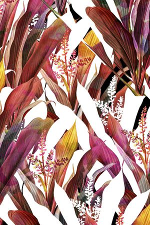 春夏华亿平台印花华亿平台图片