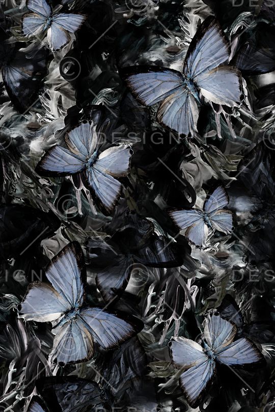 蝴蝶印花华亿平台图片