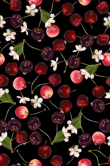 898616-166樱桃 樱花