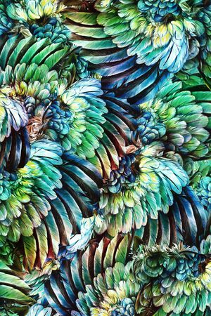 炫彩印花华亿平台图片