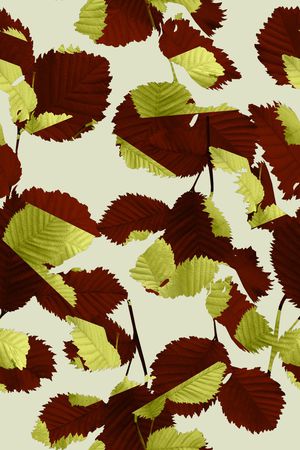 肌理印花华亿平台图片