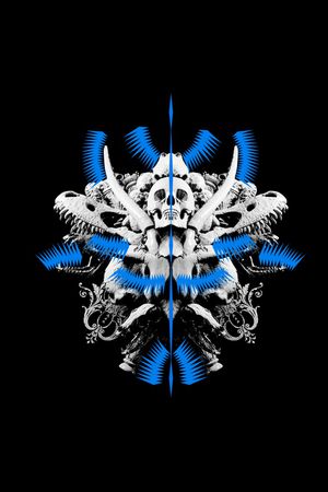 黑白条纹印花华亿平台图片