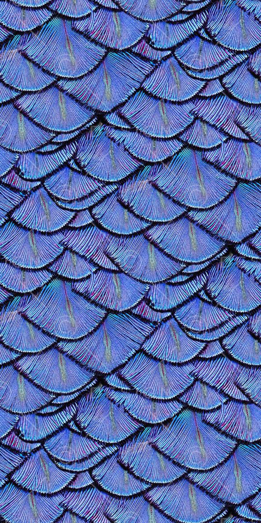 黑白条纹印花华亿平台图片