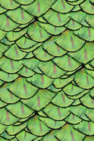 黑白条纹印花华亿平台图片