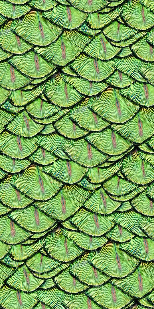 黑白条纹印花华亿平台图片