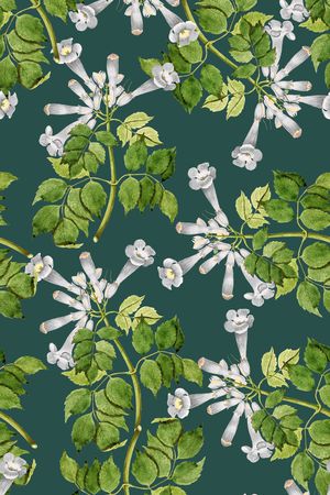 植物印花华亿平台图片