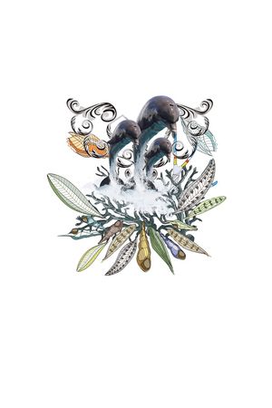 创意印花华亿平台图片