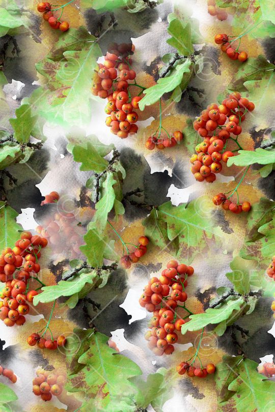 浆果印花华亿平台图片