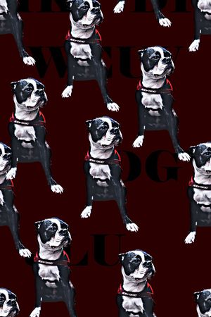 复古印花华亿平台图片