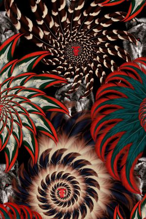 羽毛印花华亿平台图片