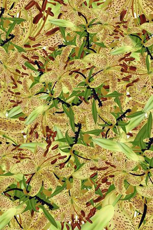 休闲印花华亿平台图片