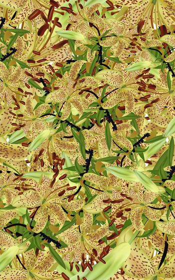 休闲印花华亿平台图片