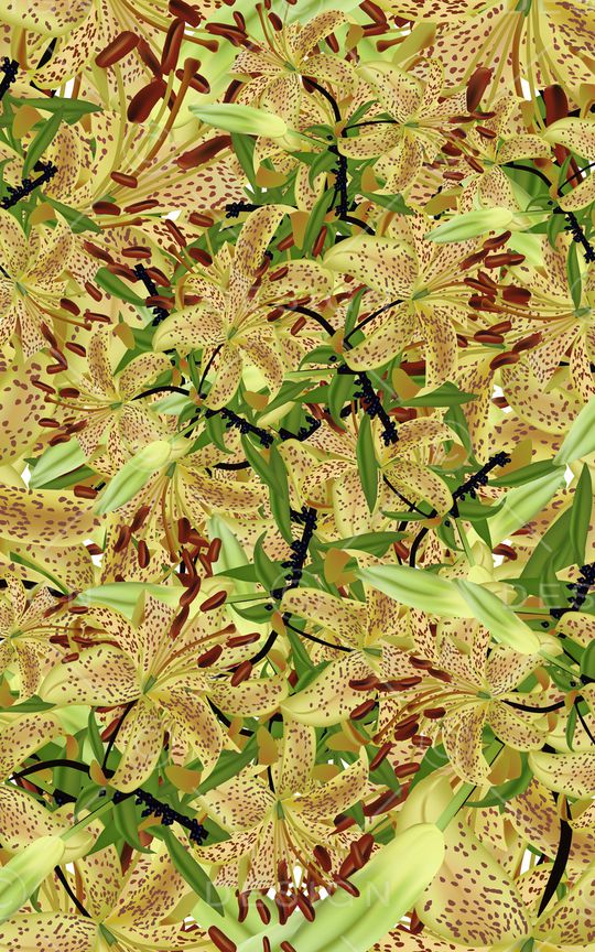 休闲印花华亿平台图片