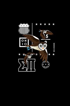 猫头鹰印花华亿平台图片