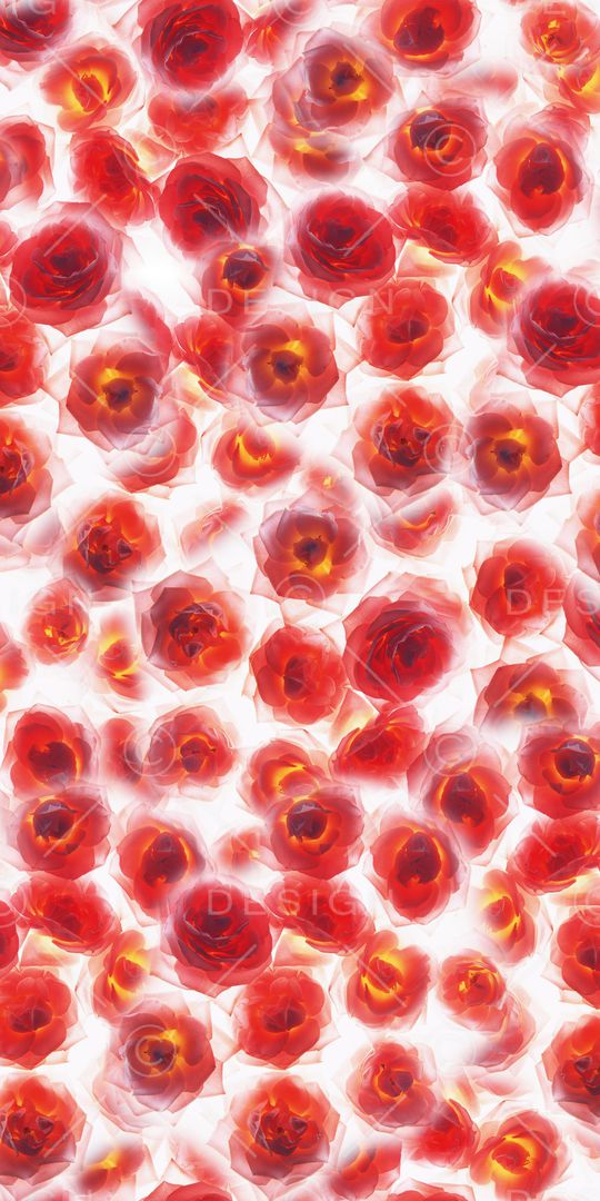 月季花印花华亿平台图片