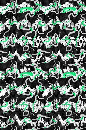 900558-条纹 荧光蛇 蛇纹