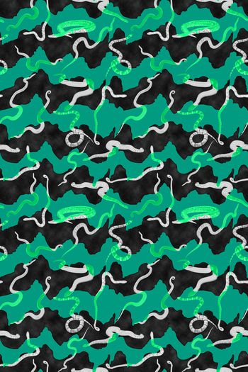 900575-条纹 荧光蛇 蛇纹--2