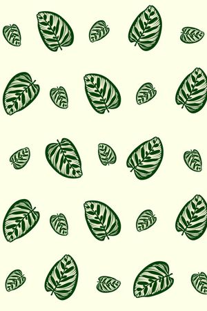 家纺印花华亿平台图片