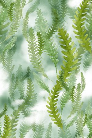 绿植树叶印花华亿平台图片