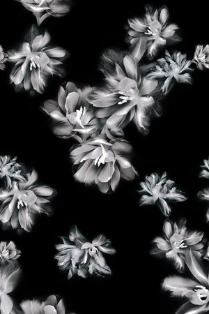 黑白印花华亿平台图片