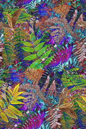 热带印花华亿平台图片