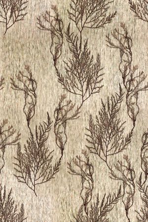 肌理印花华亿平台图片