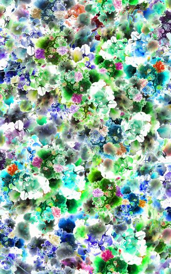 901492-小燕子1副本