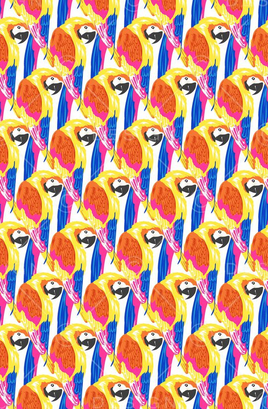 鹦鹉印花华亿平台图片