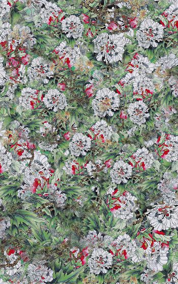 901994-白色的花1副本