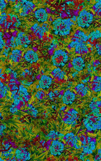 901997-白色的花2副本