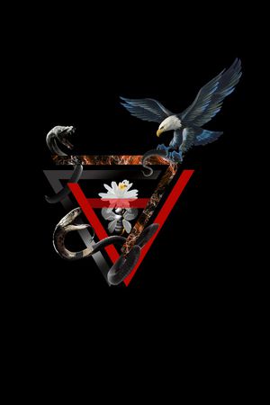 老鹰印花华亿平台图片