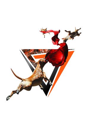 三角形印花华亿平台图片