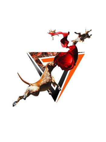 三角形印花华亿平台图片