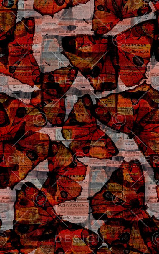 蝴蝶印花华亿平台图片