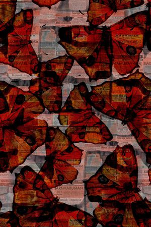 蝴蝶印花华亿平台图片