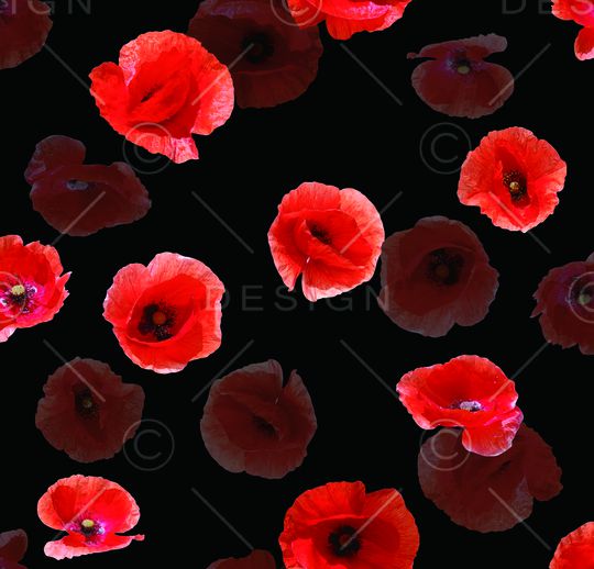 照片花卉印花华亿平台图片