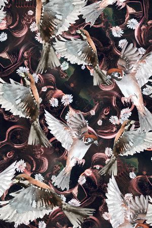 鸟印花华亿平台图片