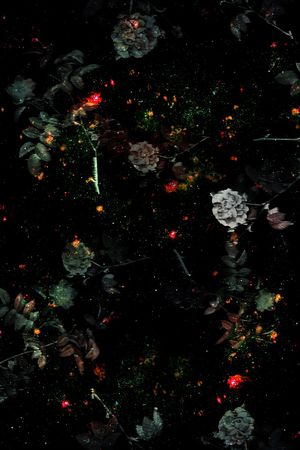 星空印花华亿平台图片