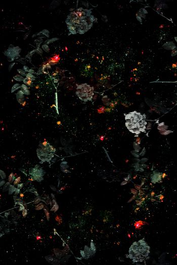 星空印花华亿平台图片