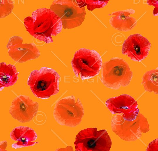 照片花卉印花华亿平台图片