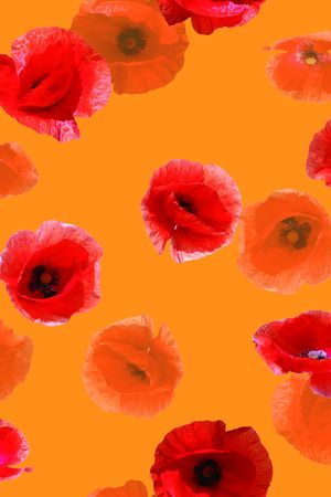 照片花卉印花华亿平台图片