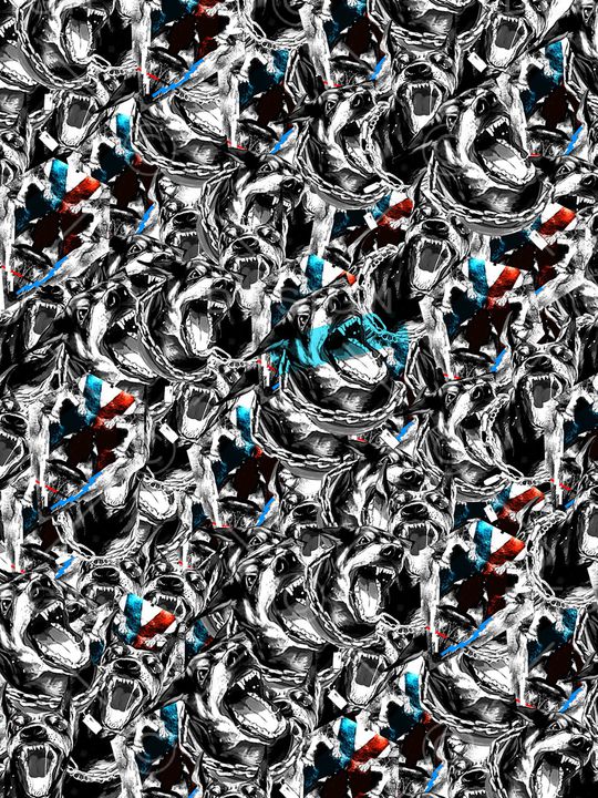 老鹰印花华亿平台图片