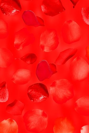 连衣裙印花华亿平台图片