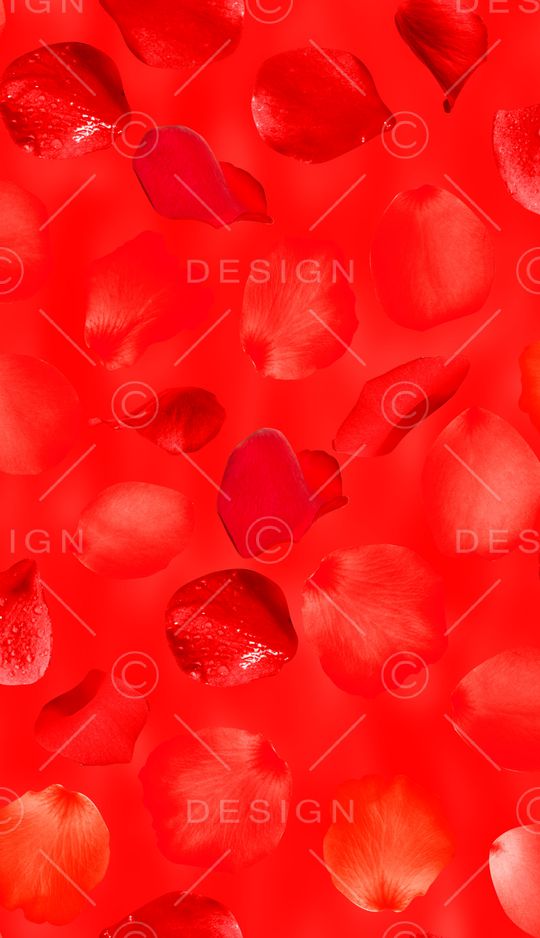 连衣裙印花华亿平台图片