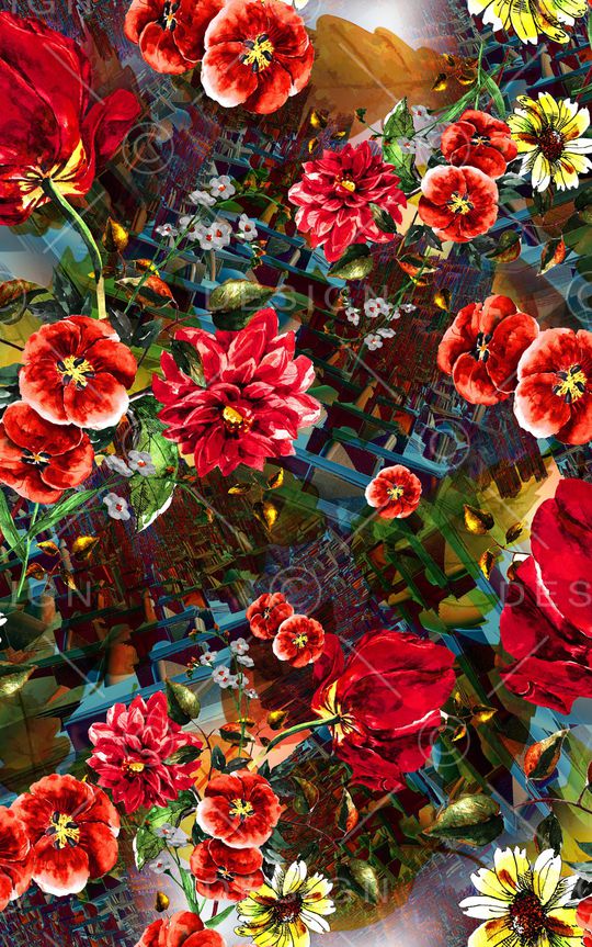 中老年印花华亿平台图片